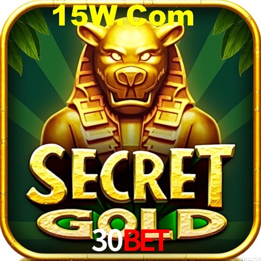 Security Systems 30Bet